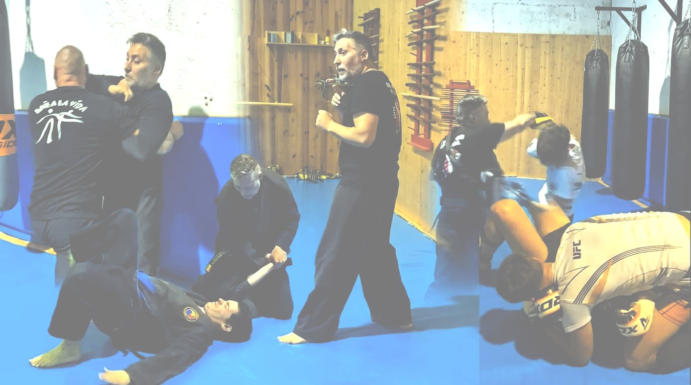 Entrenamiento de control y trabajo de suelo